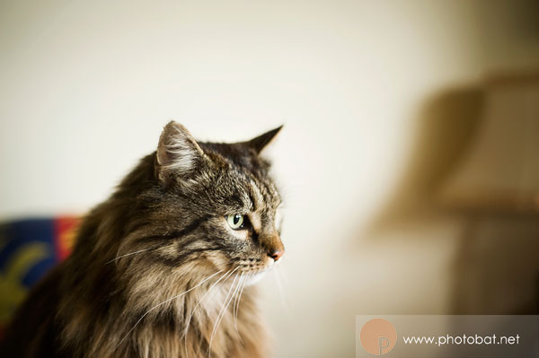 0909dewis001 0909dewis001