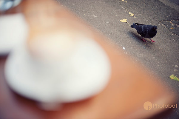 wwd_1106singleorigincofferoasters14-copy