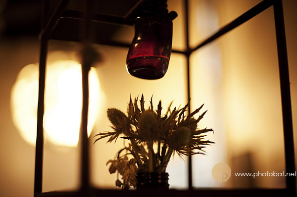 wherewedrink_journal_1110_15-copy