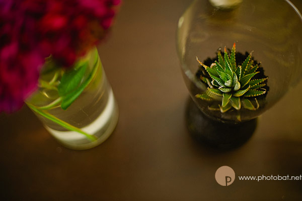 wherewedrink_amelias-(36-of-47)-copy