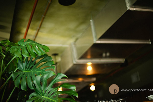 wherewedrink_1112smolt019-copy