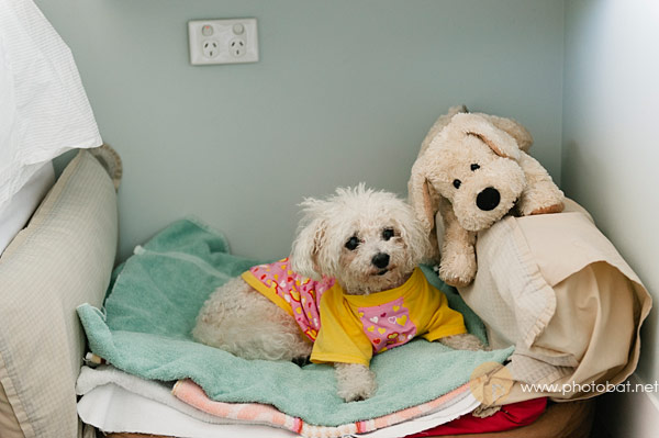 photobat_peppermint bay_wedding_photography_tasmania08