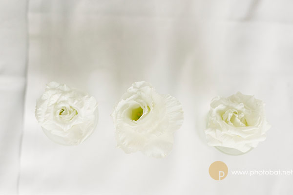 photobat_peppermint bay_wedding_photography_tasmania53